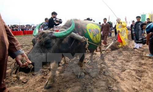 Tỉnh Hà Nam khai hội truyền thống Tịch điền Đọi Sơn 2015